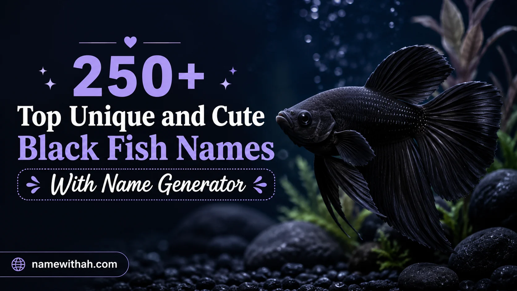 Unique and Cute Black Fish Names With Name Generator