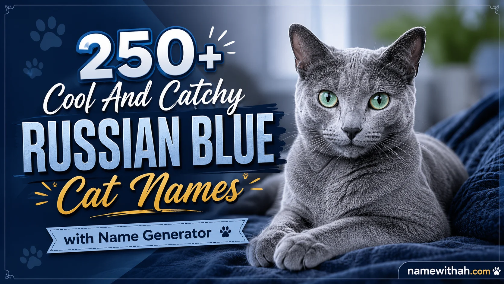 Cool And Catchy Russian Blue Cat Names with Name