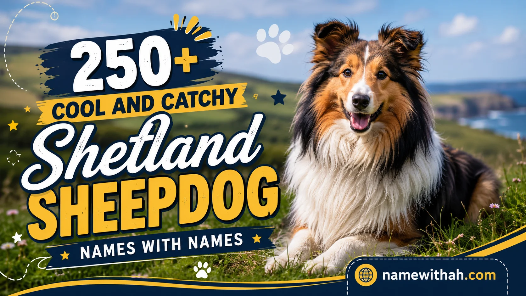 Cool And Catchy Shetland Sheepdog Names with Names
