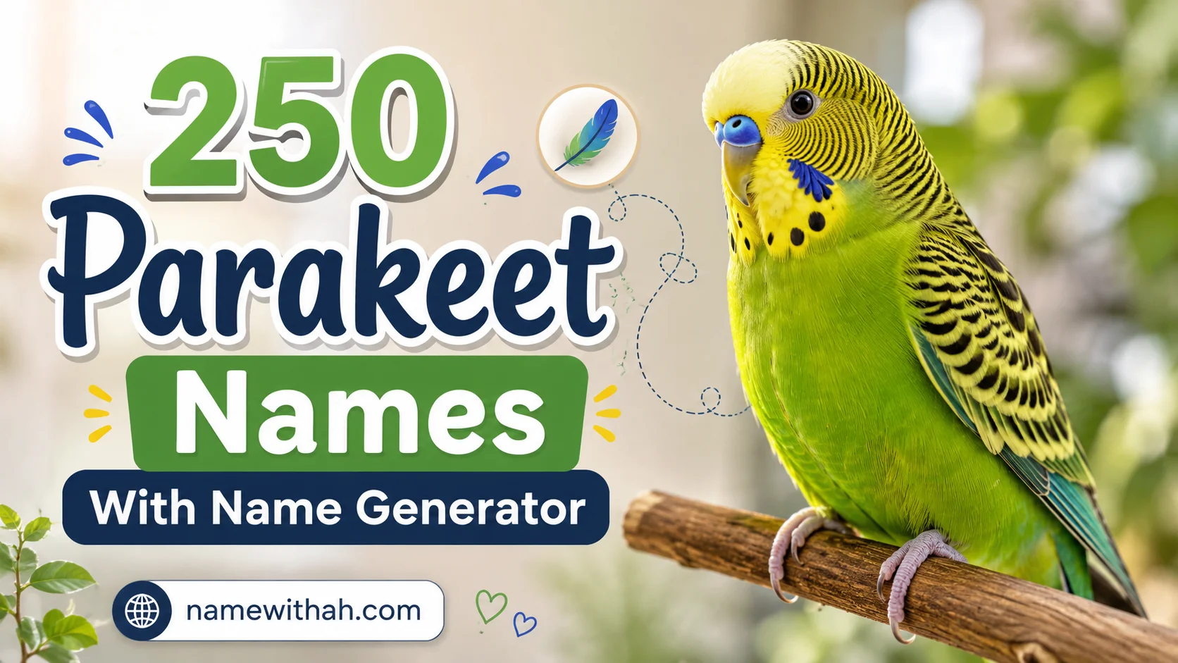 Parakeet Names With Name Generator