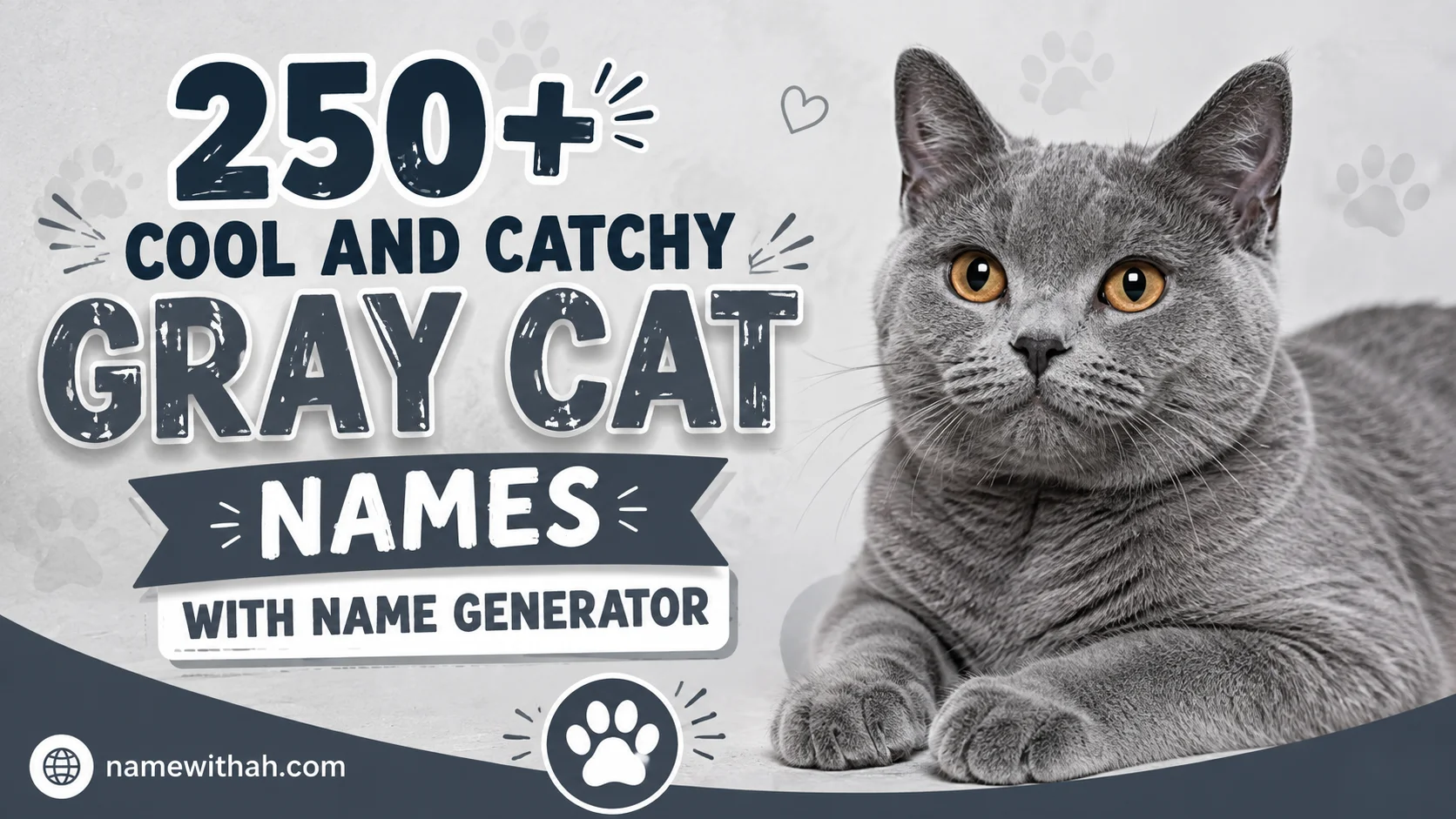 250+ Cool And Catchy Gray Cat Names With Name Generator
